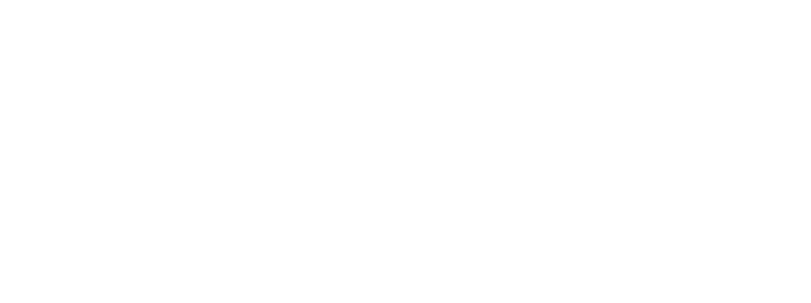 MFM